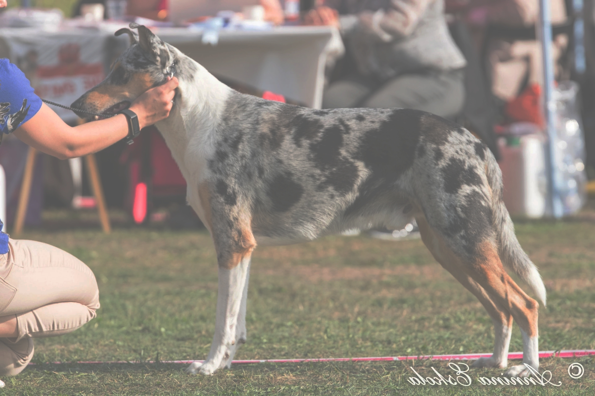 Heavenly's Ghost Channel